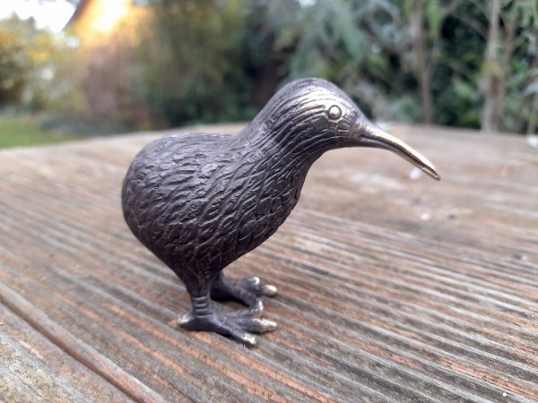 Bronze Kiwi
