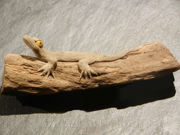 petit gecko