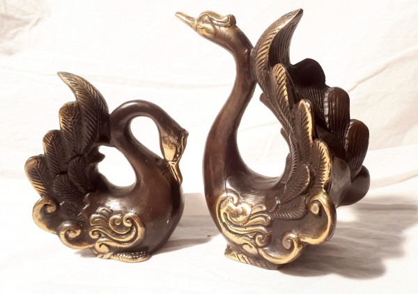 pair of swans brown golden